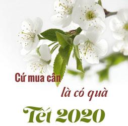 Chương trình khuyến mãi tết 2023